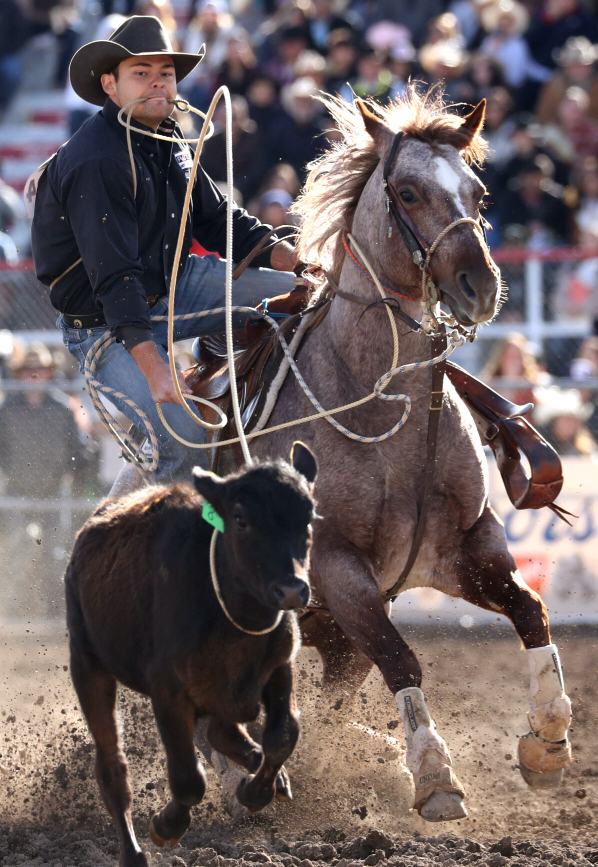 Fiesta de los Vaqueros Tucson Rodeo